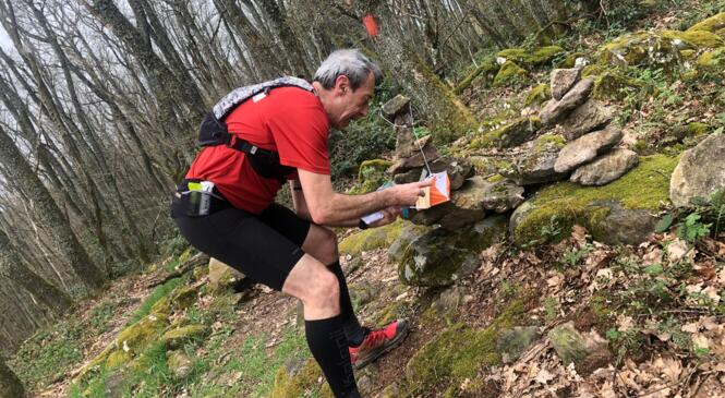 Course d'orientation dans les Monts du Lyonnais image article