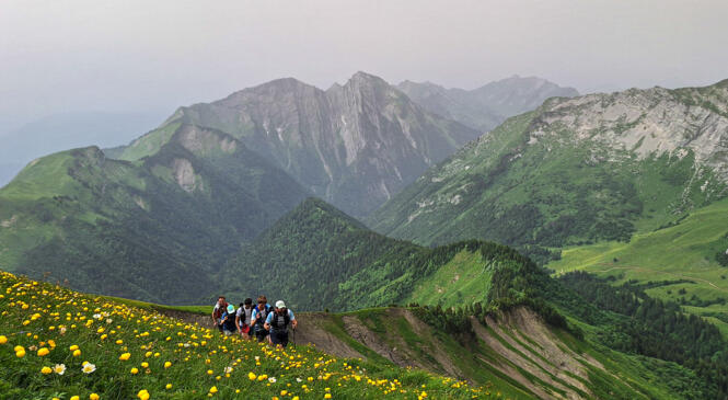 Samedi trail en Terres Baujues image article