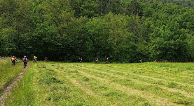 le week-end d'intégration des VDM -2024 image article