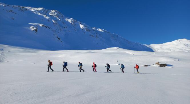 Les Lagopèdes Alpins en ski pente douce image article