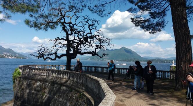 Lac Majeur (Italie) randonnée en étoile du au 1er au 8 mai 2025 image article