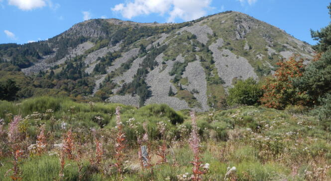 Mt Mézenc, les Estables en étoile 14-17/08 image article