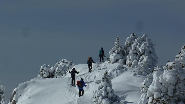 Le Crêt de la Neige à raquettes image article