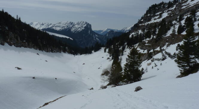 FICHE D'ALERTE / SECOURS EN MONTAGNE image article