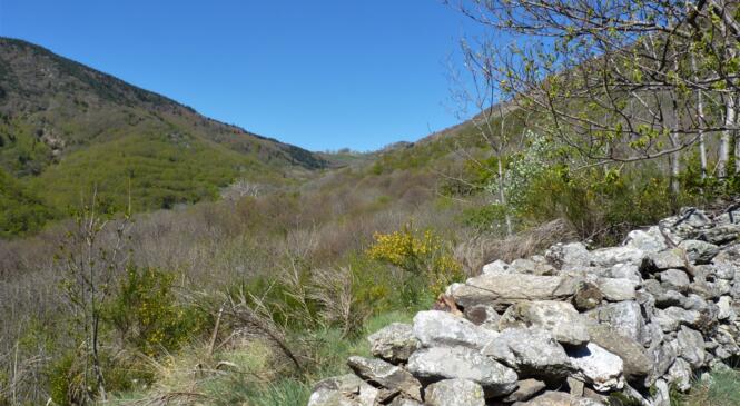 Le Tanargue par tous les temps ... image article