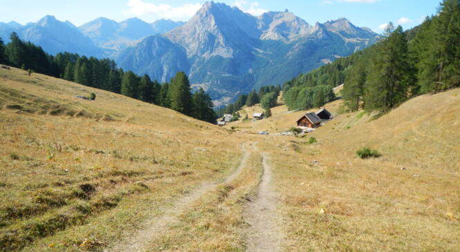 Rando itinérante dans le Queyras Ouest : encore une place image article