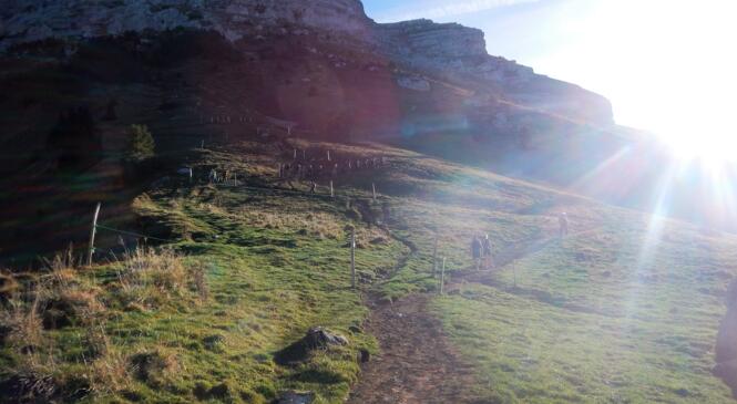 RANDO DU MERCREDI / DENT DE CROLLES image article
