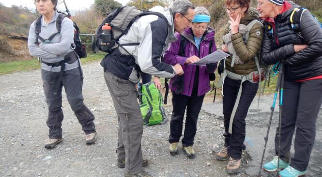 RANDO DE REPLI image article
