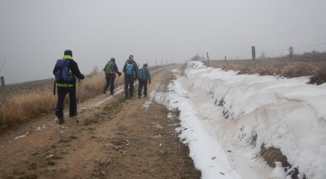 SATILLIEU ET SON GR 42 image article