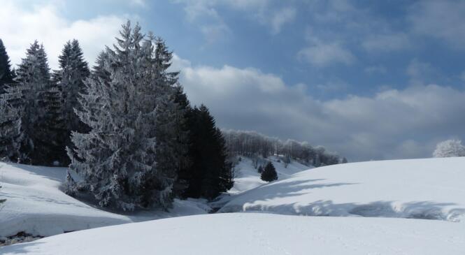 Plateau du Retord givré ! image article