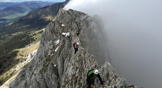 Cycle initiation 1 jour et 4 weekends image article