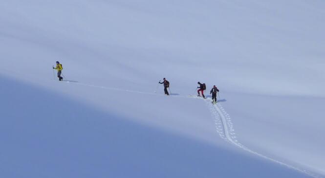 Formation "Bien préparer une sortie de ski de rando" - 29/01/2019 à 19h au club image article