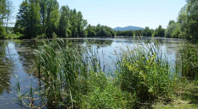 Week end dans les gorges de la Loire sauvage image article