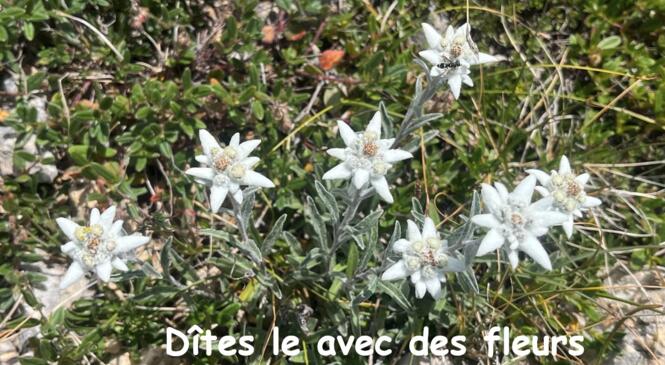 Hausse du tarif des cycles image article