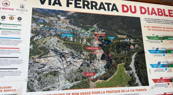 image article