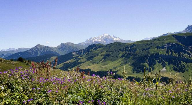 Le Beaufortain au féminin image article