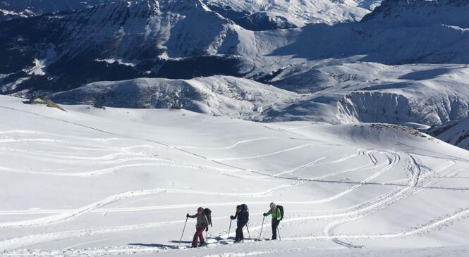 Cycle Premières Traces - Découverte du ski de montagne image article