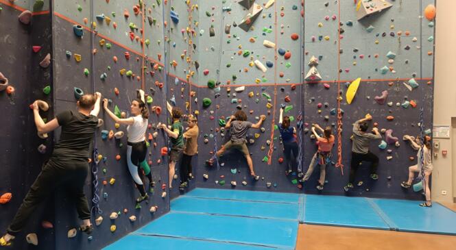 APPEL A VOLONTAIRES : rénovation du mur d'escalade du gymnase des Brosses du 17 au 24/10 image article