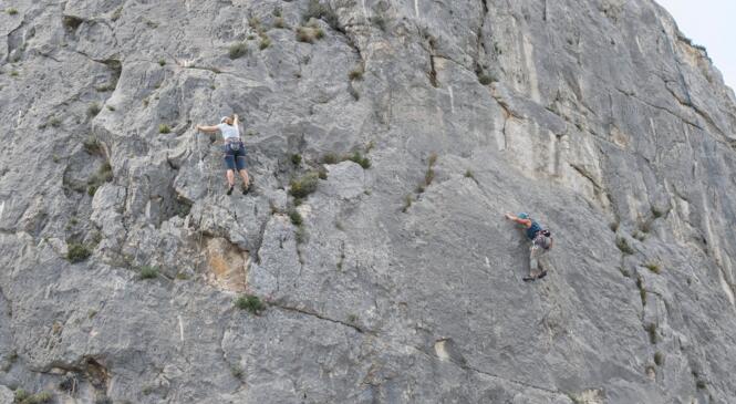 RETEX / SECURITE : Compte-rendu de deux accidents d'escalade en falaise image article